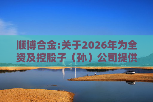 顺博合金:关于2026年为全资及控股子（孙）公司提供担保的公告