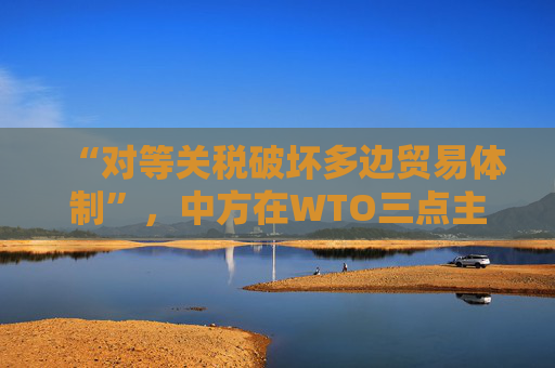 “对等关税破坏多边贸易体制”，中方在WTO三点主张发言，引发广泛呼应  第1张
