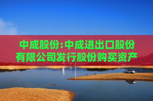 中成股份:中成进出口股份有限公司发行股份购买资产并募集配套资金暨关联交易报告书(草案)(修订稿)