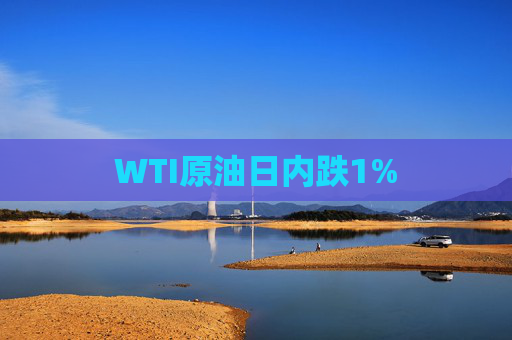 WTI原油日内跌1%