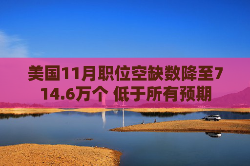美国11月职位空缺数降至714.6万个 低于所有预期