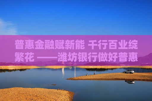 普惠金融赋新能 千行百业绽繁花 ――潍坊银行做好普惠金融“大文章”助力区域经济高质量发展