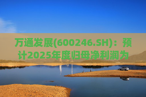 万通发展(600246.SH)：预计2025年度归母净利润为负值
