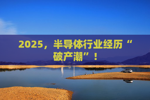 2025，半导体行业经历“破产潮”！