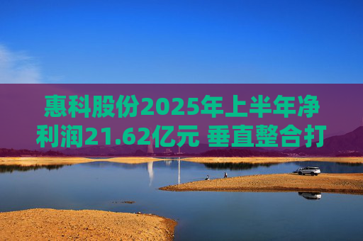 惠科股份2025年上半年净利润21.62亿元 垂直整合打造显示产业全链条优势