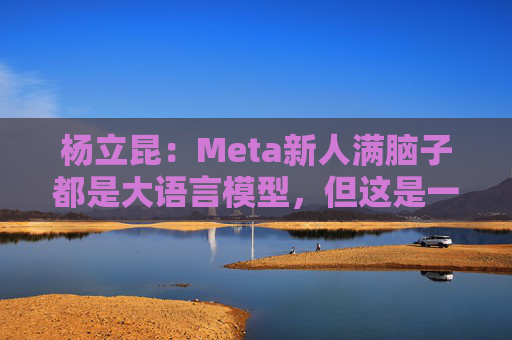 杨立昆：Meta新人满脑子都是大语言模型，但这是一条死胡同