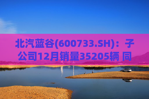 北汽蓝谷(600733.SH):子公司12月销量35205辆 同比增长114.56%