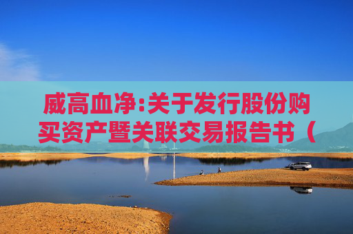 威高血净:关于发行股份购买资产暨关联交易报告书（草案）与预案差异对比说明