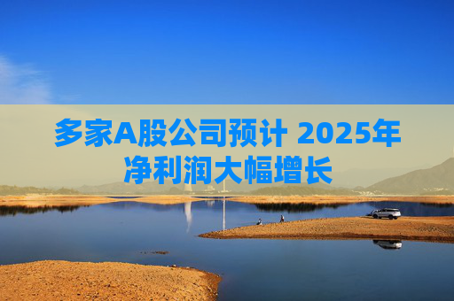 多家A股公司预计 2025年净利润大幅增长