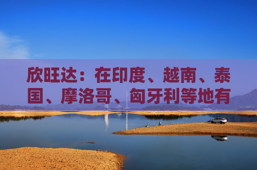 欣旺达：在印度、越南、泰国、摩洛哥、匈牙利等地有生产基地