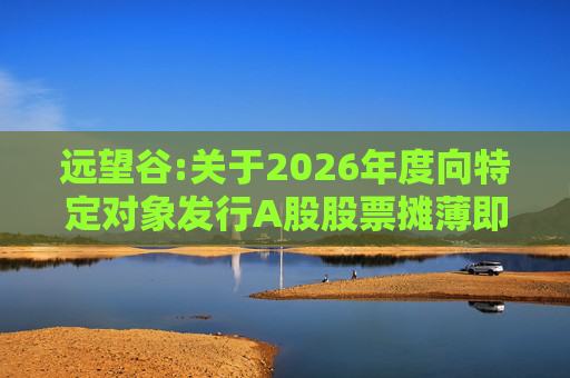 远望谷:关于2026年度向特定对象发行A股股票摊薄即期回报及填补措施和相关主体承诺的公告