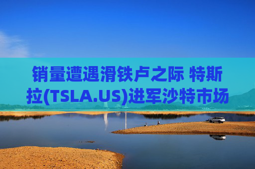 销量遭遇滑铁卢之际 特斯拉(TSLA.US)进军沙特市场