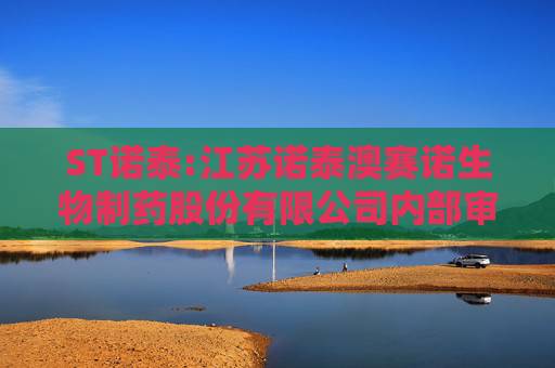 ST诺泰:江苏诺泰澳赛诺生物制药股份有限公司内部审计管理制度