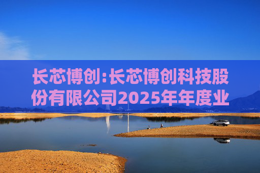 长芯博创:长芯博创科技股份有限公司2025年年度业绩预告