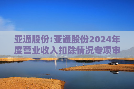 亚通股份:亚通股份2024年度营业收入扣除情况专项审核意见  第1张