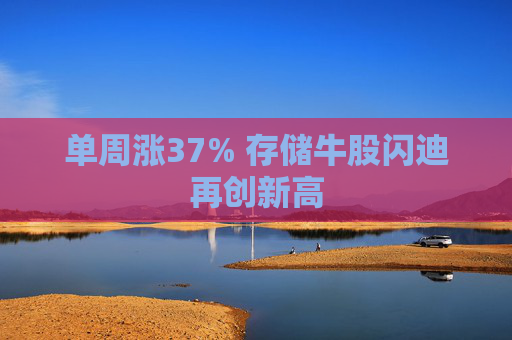 单周涨37% 存储牛股闪迪再创新高 第1张 单周涨37% 存储牛股闪迪再创新高 第1张