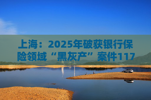 上海：2025年破获银行保险领域“黑灰产”案件117起 持续净化金融生态