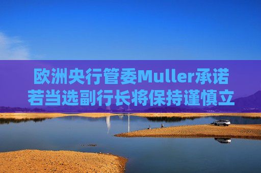 欧洲央行管委Muller承诺若当选副行长将保持谨慎立场 第1张 欧洲央行管委Muller承诺若当选副行长将保持谨慎立场 第1张
