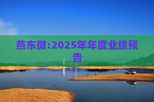 燕东微:2025年年度业绩预告
