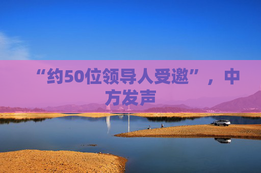 “约50位领导人受邀”，中方发声