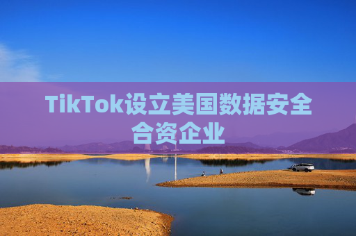TikTok设立美国数据安全合资企业