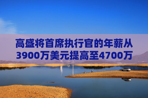 高盛将首席执行官的年薪从3900万美元提高至4700万