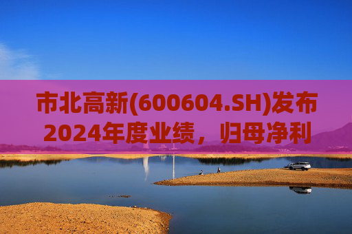 市北高新(600604.SH)发布2024年度业绩，归母净利润3053万元，同比扭亏为盈  第1张