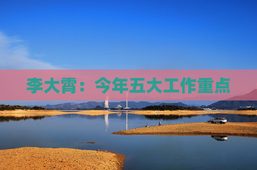 李大霄：今年五大工作重点