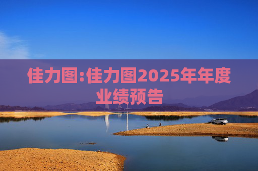 佳力图:佳力图2025年年度业绩预告