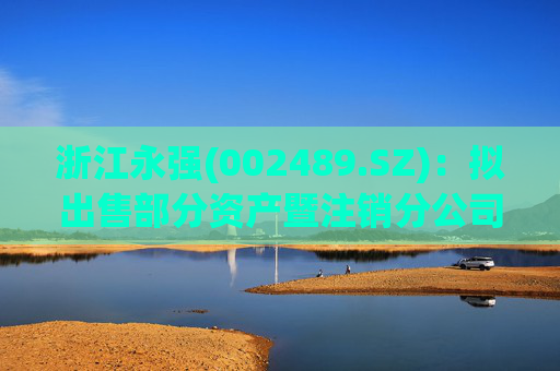 浙江永强(002489.SZ)：拟出售部分资产暨注销分公司  第1张