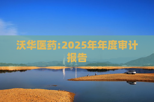 沃华医药:2025年年度审计报告