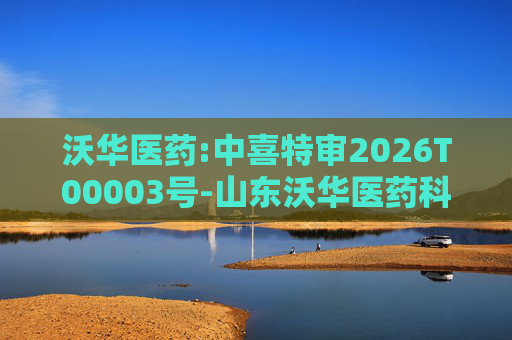 沃华医药:中喜特审2026T00003号-山东沃华医药科技股份有限公司-关联资金占用报告