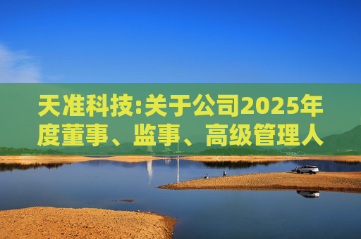 天准科技:关于公司2025年度董事、监事、高级管理人员薪酬方案的公告