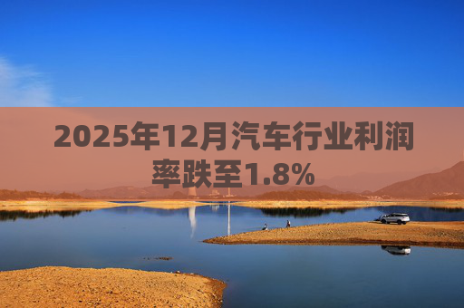 2025年12月汽车行业利润率跌至1.8%