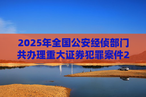 2025年全国公安经侦部门共办理重大证券犯罪案件200余起