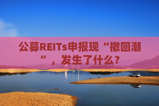 公募REITs申报现“撤回潮”，发生了什么？