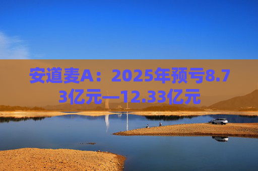 安道麦A:2025年预亏8.73亿元—12.33亿元