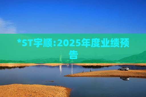 *ST宇顺:2025年度业绩预告