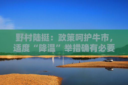 野村陆挺：政策呵护牛市，适度“降温”举措确有必要