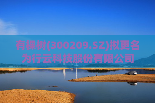 有棵树(300209.SZ)拟更名为行云科技股份有限公司