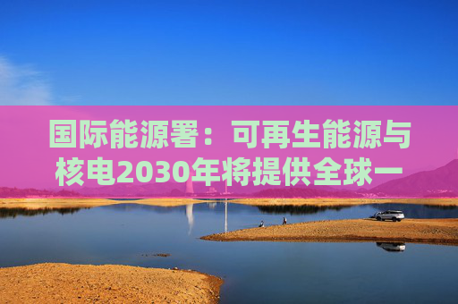 国际能源署：可再生能源与核电2030年将提供全球一半电力