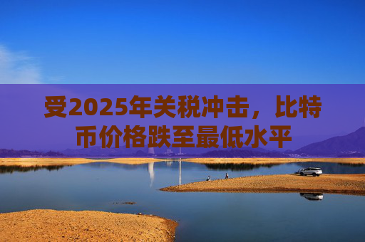 受2025年关税冲击，比特币价格跌至最低水平