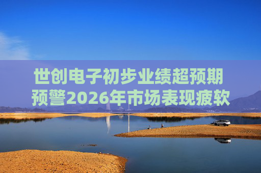 世创电子初步业绩超预期 预警2026年市场表现疲软