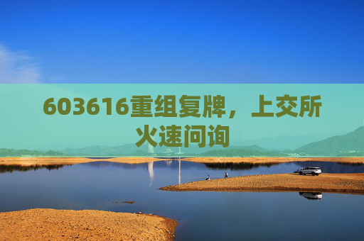 603616重组复牌，上交所火速问询