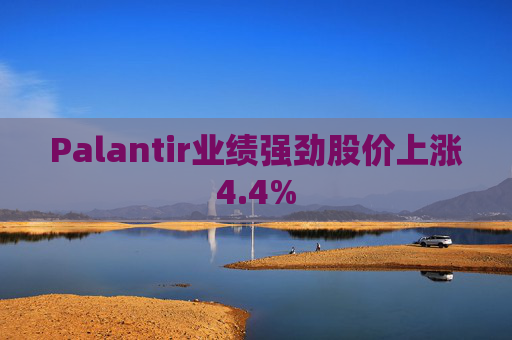 Palantir业绩强劲股价上涨4.4%
