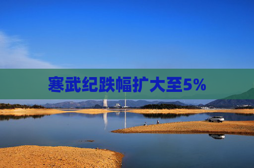 寒武纪跌幅扩大至5%