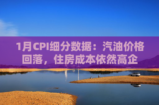 1月CPI细分数据：汽油价格回落，住房成本依然高企