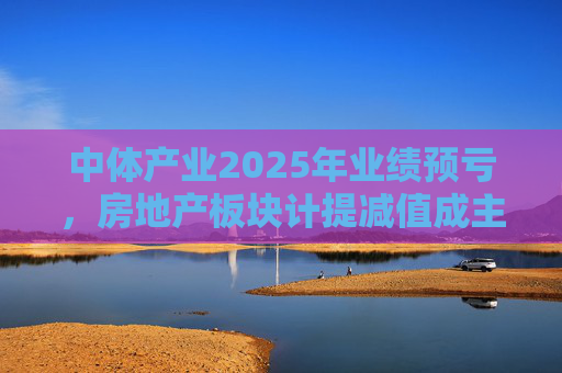 中体产业2025年业绩预亏，房地产板块计提减值成主因