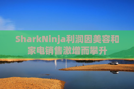 SharkNinja利润因美容和家电销售激增而攀升