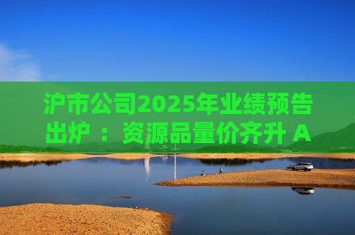 沪市公司2025年业绩预告出炉 ：资源品量价齐升 AI链景气延续